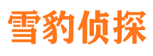 河池外遇出轨调查取证